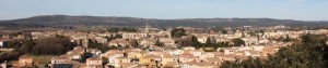 cropped-IMG_49685.jpg