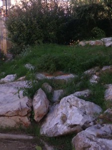 IMG_20150914_101951 - Copie