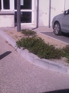 mairie annexe