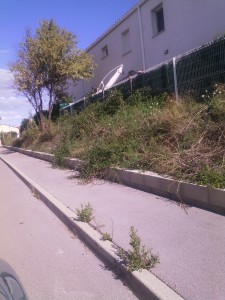 lotissement "lo perdigal"